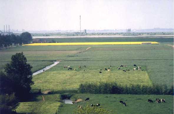 Blick von der Mühle Richtung Holland